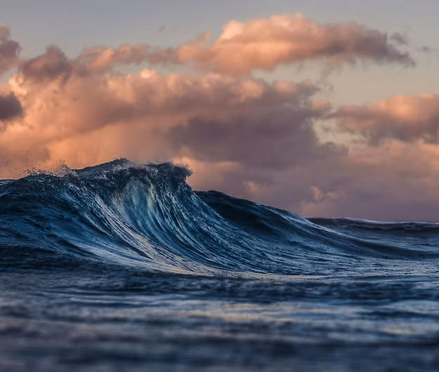 surf vague wave