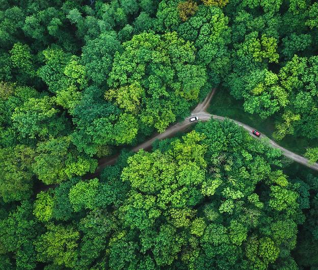 green forest for sustainability forum ESG ODDO BHF